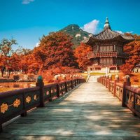 Top 5 món quà nên mua khi đi du lịch Hàn Quốc