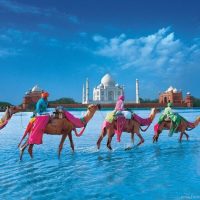 Du lịch Ấn độ mùa nào đẹp? Thời điểm lý tưởng khám phá Ấn Độ