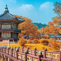 Kinh nghiệm du lịch Hàn Quốc 7 ngày dành cho người mới đi lần đầu