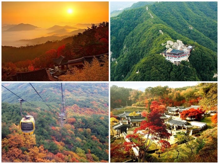 Núi Palgongsan là nơi có nhiều tượng phật, tháp và những ngôi chùa linh thiêng lớn tại Hàn Quốc. Nhiều du khách lên đây lễ chùa cầu may, cầu duyên