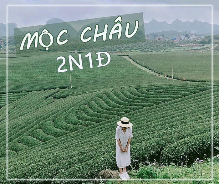 Kinh nghiệm du lịch Mộc Châu 2 ngày 1 đêm