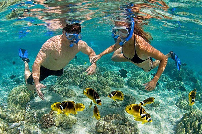 Một trong những trải nghiệm được du khách cả trong nước và quốc tế yêu thích nhất khi đi du lịch Đảo Cát Bà đó là lặn biển ngắm san hô