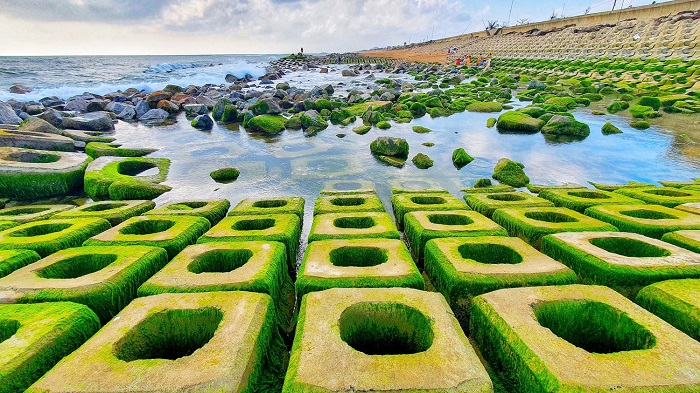 Bãi đá rêu xanh độc đáo nhất tại Phú Yên - Xóm Rớ