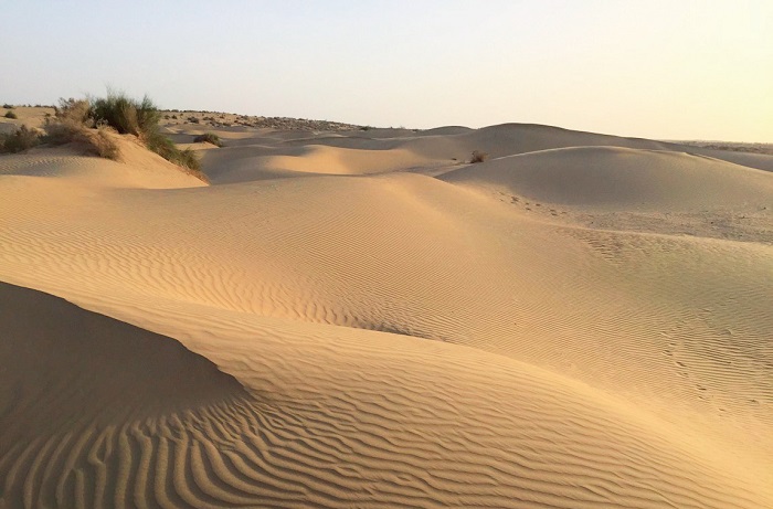Sa mạc Thar là sa mạc lớn nhất Ấn Độ, lớn thứ 3 châu Á và lớn thứ 7 thế giới