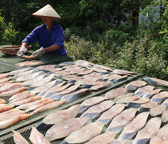 Cá thu một nắng có chứa nhiều dưỡng chất có lợi cho sức khoẻ con người