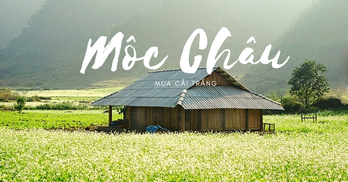 Mộc Châu - Một trong những điểm đến hấp dẫn nhất miền Bắc