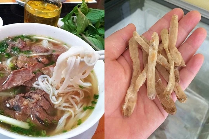 Mua sá sùng nấu phở ở đâu Hà Nội? Bật mí ngay “địa chỉ vàng”